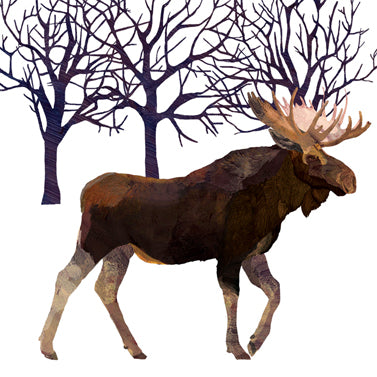 Bev - Winter Moose