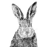 Hector the Hare Print