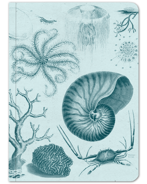 Shallow Sea Softcover Notebook - Lined