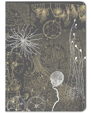 Neurons Softcover Notebook - lined
