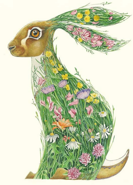Hare in Meadow Card