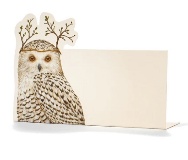 Winter Owl Place-Card - Pack of 12