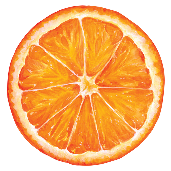 Die Cut Orange Slice Placemat-S/12