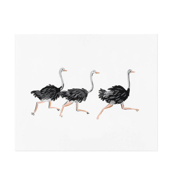 Framed Ostrich Print (8x10)