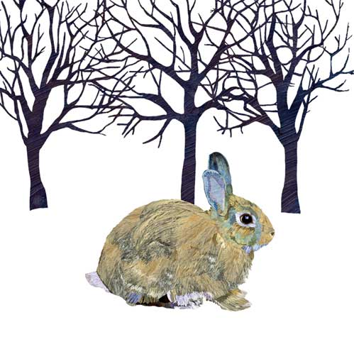 Bev - Winter Rabbit